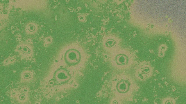 Brainstorming through Essay Trees